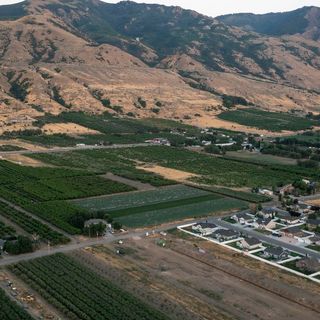 Hungry developers eye Utah's few remaining fruit farms