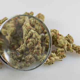 Top Federal Drug Agency Details Plan To Award One New Marijuana Supplier Contract For Research Purposes