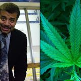 Neil deGrasse Tyson Wonders What Other Plants Can Get You High That People Just Haven’t Tried Smoking Yet