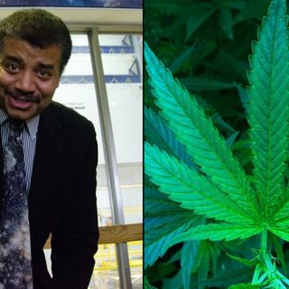 Neil deGrasse Tyson Wonders What Other Plants Can Get You High That People Just Haven’t Tried Smoking Yet