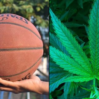 NBA Players’ Union Partners With Former Star Al Harrington On CBD Product Line To Be Sold By Amazon And Walmart