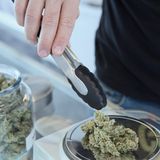 California Marijuana Retailers ‘100 Percent’ Compliant In Checking IDs To Prevent Youth Access, Study Finds