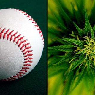 MLB Teams Can Now Be Sponsored By CBD Companies, Baseball League Official Says