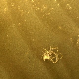 Mysterious bundle of string on Mars' surface found by Perseverance rover