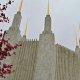 Explosive report claims Mormon leaders knew about child sex abuse in church — and 'let it happen'