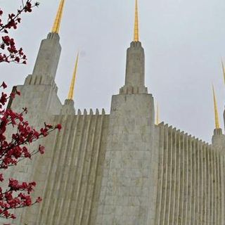 Explosive report claims Mormon leaders knew about child sex abuse in church — and 'let it happen'
