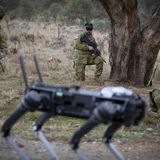 Australian Soldiers Command Robotic Dog Through Brain Waves