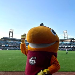 My night as a minor-league mascot: Sweating and dancing as the Curve's Al Tuna