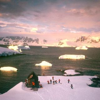 The Art of Eating Well in Antarctica