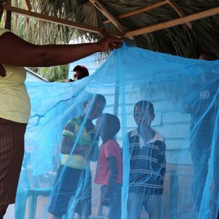 The Malaria Vaccine Rollout Is Expanding. What Does This Mean for the Fight Against the Deadly Disease?
