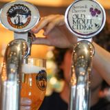 British pubs at risk of closure – industry