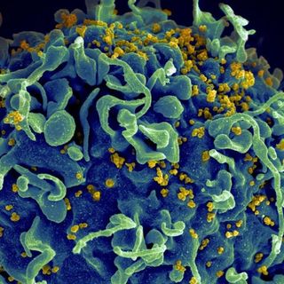 At long last, we might have an HIV vaccine