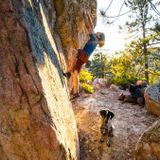 Treat Your Crag Dog to These Five Essentials