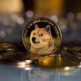 Dogecoin Re-enters Crypto Top 10, But Price Continues To Struggle