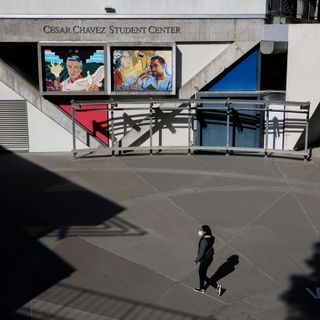 Where Are All the Undergrads? College Student Population in SF Drops by 10,000, New Data Shows