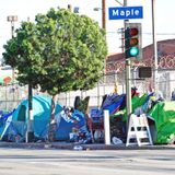 Three LA Homeless Agencies Failed To Spend $150 Million in Federal Grants