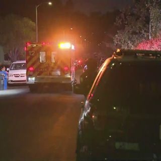 2 men shot, killed in Montecito Heights