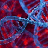 Multiple Substance Use Disorders May Share Inherited Genetic Signature
