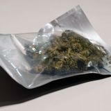 An Update on Synthetic Cannabinoid Research