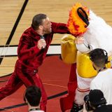 Conor McGregor Knocks Out Miami Heat Mascot