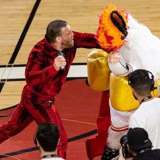 Conor McGregor Knocks Out Miami Heat Mascot