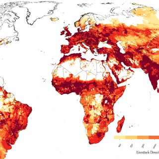 Mapped: Global Livestock Distribution and Density
