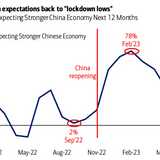 CHART OF THE DAY: Chinese growth expectations fall to 'lockdown lows,' fund manager survey says