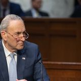 Chuck Schumer Is Allergic to Politics