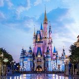 Disney World: Reported Bear Sighting Shuts Down Half of Magic Kingdom