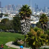 ‘Are You OK?’ San Francisco Residents Say They Most Certainly Are.