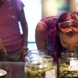 Over 2,000 Oregonians needed to judge the state’s best weed