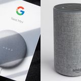 It's So Easy to Listen to The Loon with Alexa and Google Nest Audio