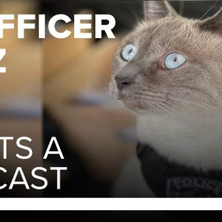 Fort Smith police cat Pawfficer Fuzz is starting a podcast