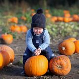 7 Farms In The Delaware Valley With Pumpkin Picking This Fall