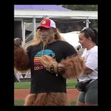 WATCH: Bigfoot Comes Out Of Hiding; Pitches At South Idaho Game