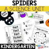 Spiders Animal Study for Kindergarten
