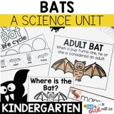 Bats Animal Study for Kindergarten