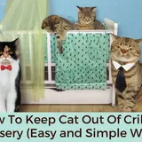 How To Keep Cat Out Of Crib Or Nursery (19 Easy And Simple Ways)