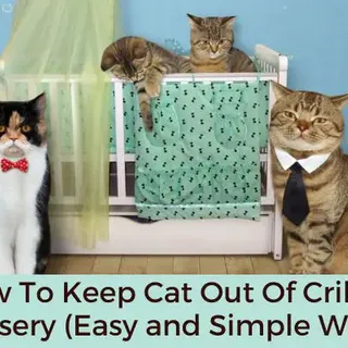 How To Keep Cat Out Of Crib Or Nursery (19 Easy And Simple Ways)