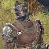 Sharp-as-Night Companion Build ESO – Sharp-as-Night Build Setups