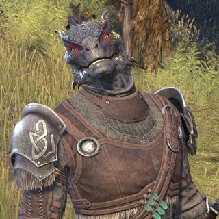 Sharp-as-Night Companion Build ESO – Sharp-as-Night Build Setups