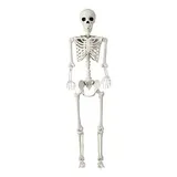 Huntington Home 5' Posable Skeleton Headed to Aldi in Time for Halloween | ALDI REVIEWER