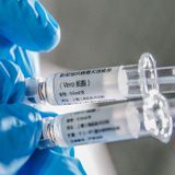 COVID-19 vaccine protects monkeys from new coronavirus, Chinese biotech reports