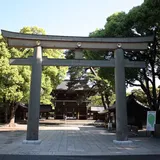 All About Meiji Jingu: What to See & Do, Hours, Fee, Access | AlexRockinJapan