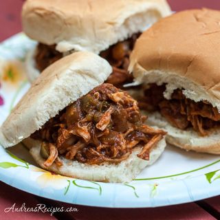 Ann’s Slow Cooker Pulled Pork Recipe - Andrea Meyers