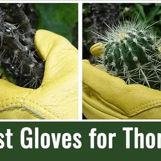 Top 5 Heavy-Duty Garden Gloves For Thorns (2023)