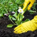 Can You Use Smelly Compost for Plants? (7 Factors Considered)