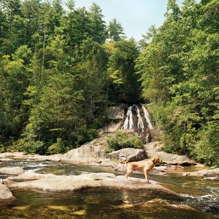 Great Georgia Hikes - Atlanta Magazine