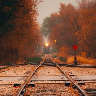 Experience the Best Michigan Fall Color Train Tours in 2023