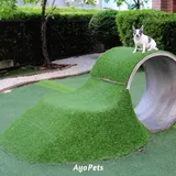 Do dogs damage artificial grass? How to protect your synthetic turf